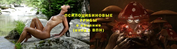 мяу мяу мука Богданович