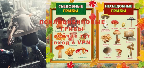 сатива Богородицк