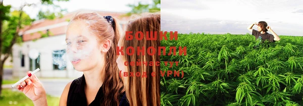 сатива Богородицк