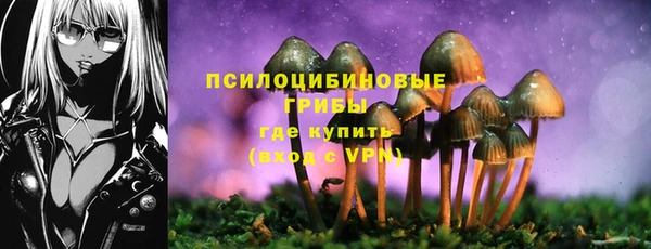 кокс Богородск