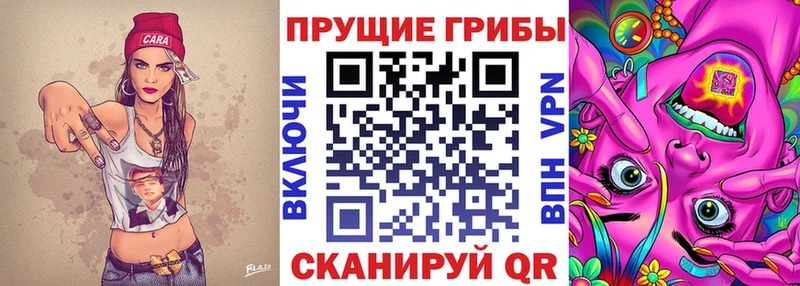 Галлюциногенные грибы Psilocybe Разумное