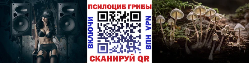 blacksprut   Разумное  Псилоцибиновые грибы GOLDEN TEACHER 